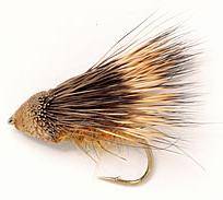 Streaking Caddis