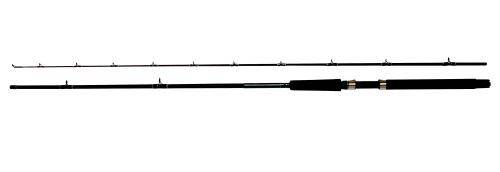 Lawson Salmonrigger II 8 fot 2-delt