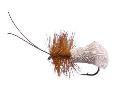 Goddard Caddis