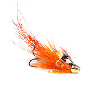 Pot Belly Pig Orange