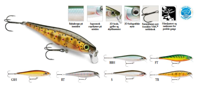 Rapala BX Minnow 10cm