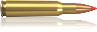 Norma V-max 204 Ruger 40gr
