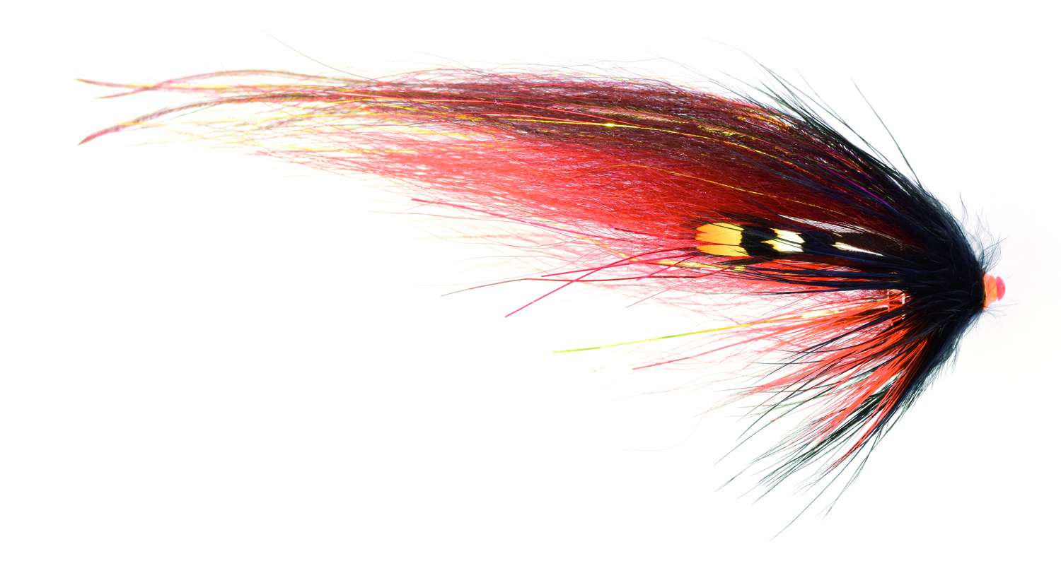 Tubeflue Phatakorva Nobody