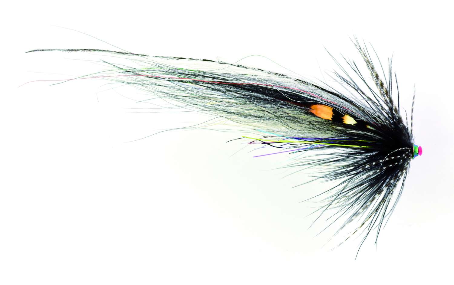 Tubeflue Zebra Nobody