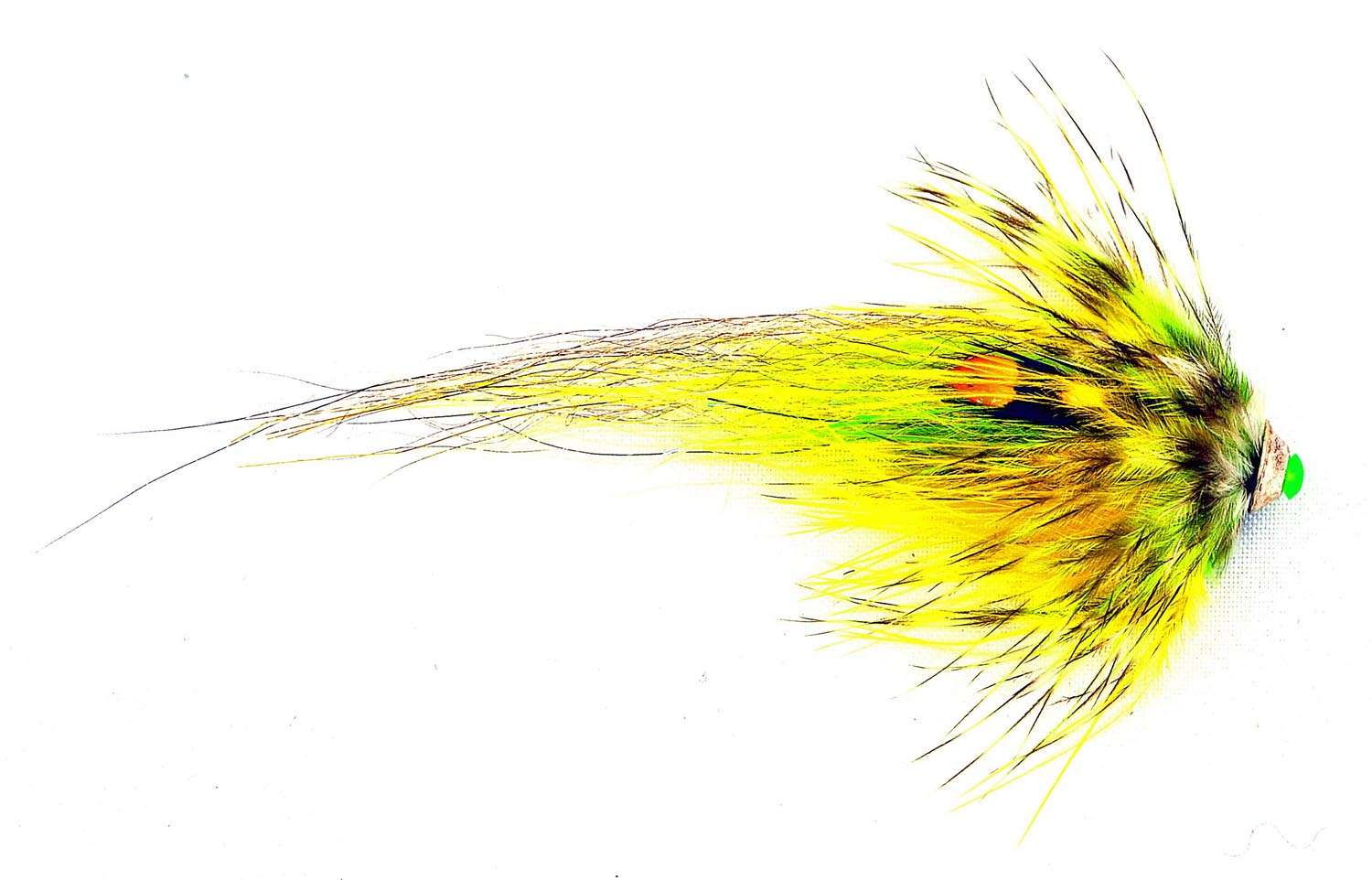 Tubeflue Nobody Highlander