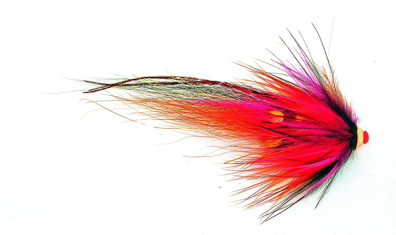 Tubeflue Nobody In Flames