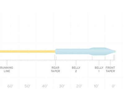SA Mastery Jungle Titan Taper