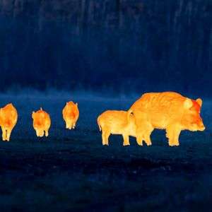 Leica CALONOX View - Mono "Spotter" 15 x 30