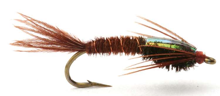 Pheasant Tail Flashback