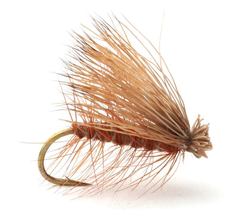 Elk Hair Caddis Brown