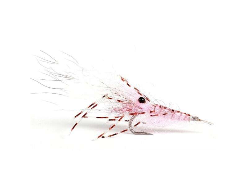Leoshrimp Pink