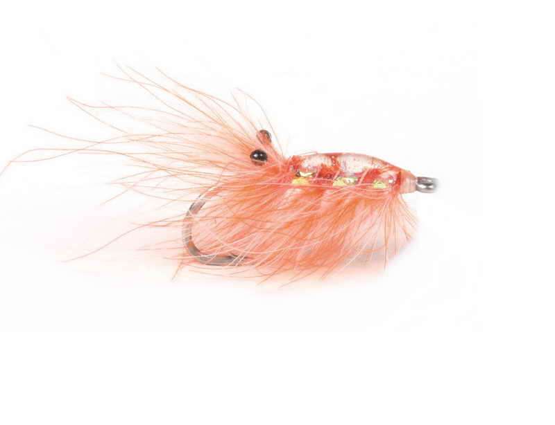 Runar`s CDC Reke Orange