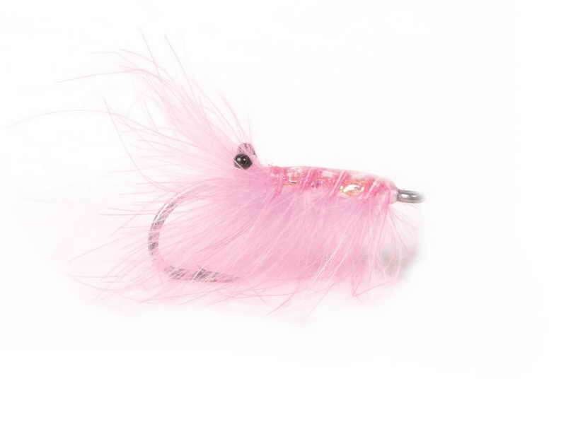 Runar`s CDC Reke Rosa