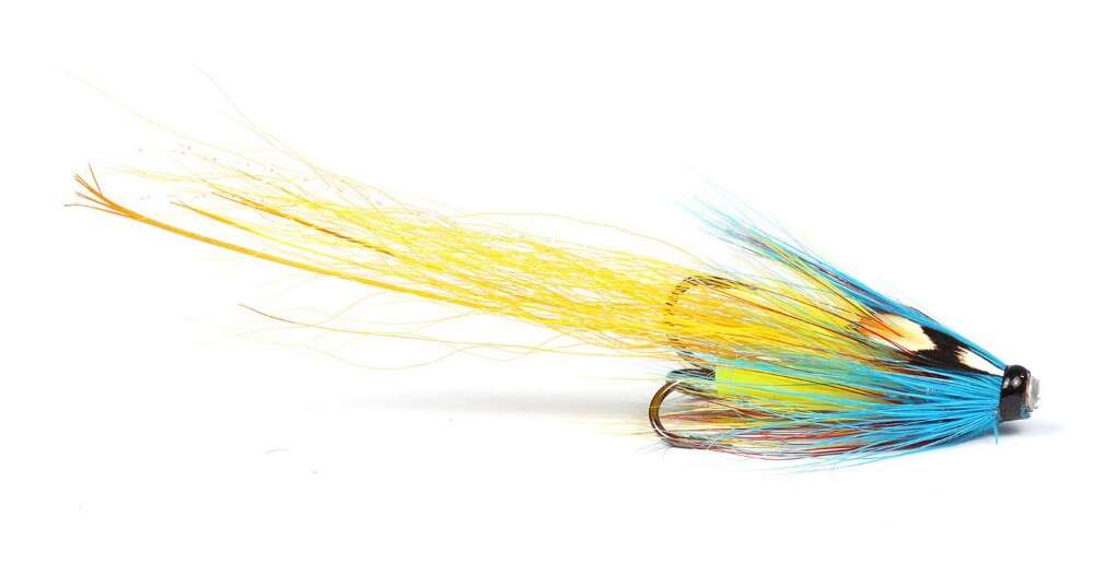 Tube Sunburst Garry Dog Pig