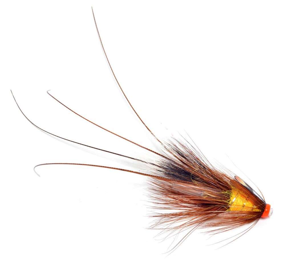 Pot Belly Pig Creme Brulee