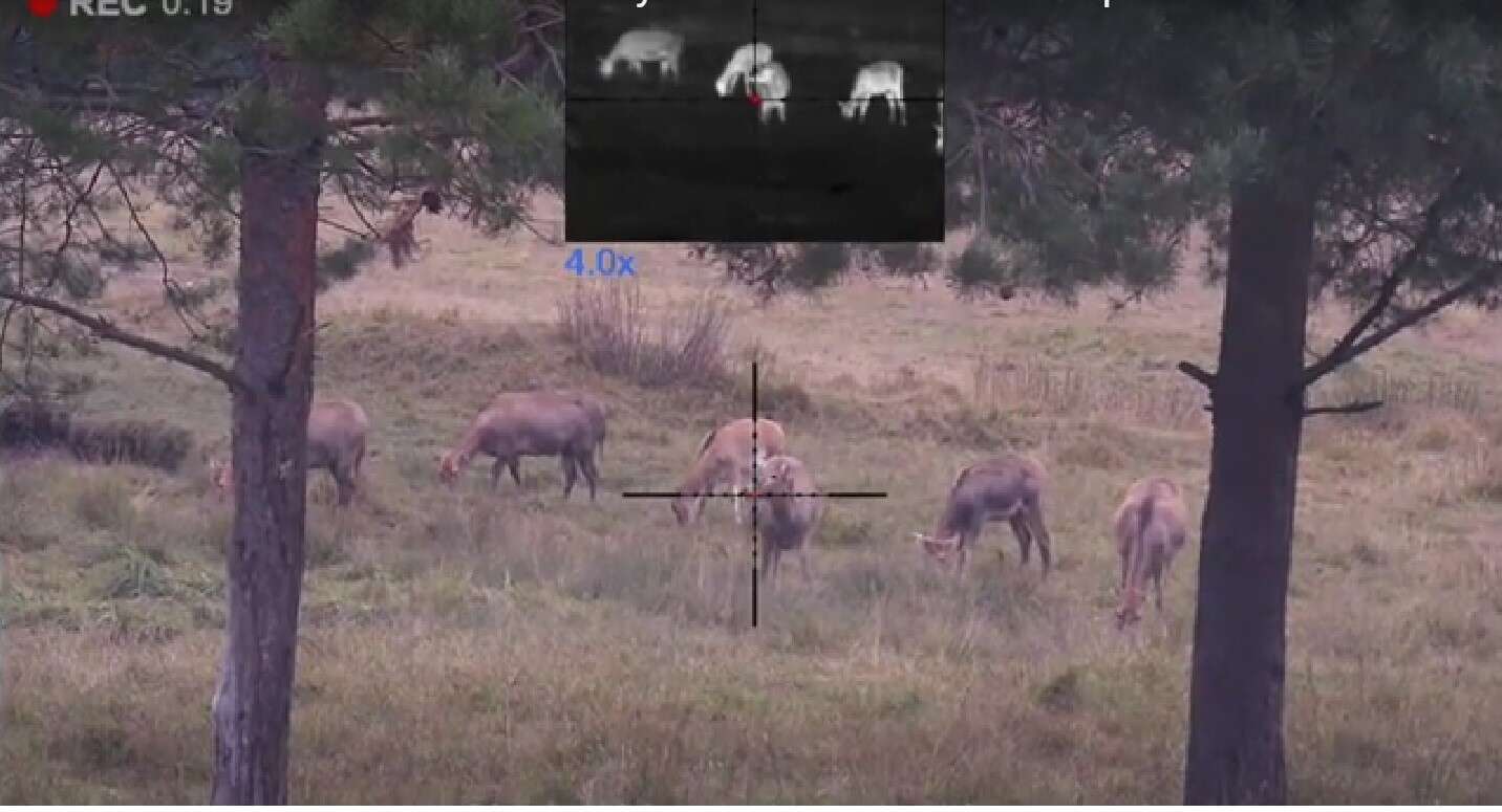 Pulsar Thermion DUO DXP50 TERMISK/DIGITAL