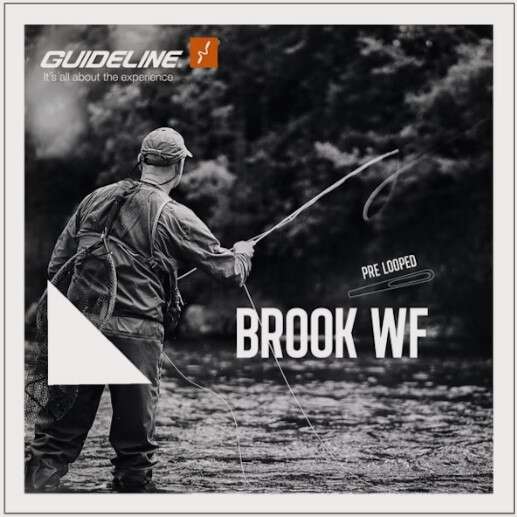 Fluesnøre Brook WF