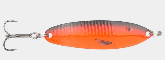 Søvik sluken ørret/sjøørret