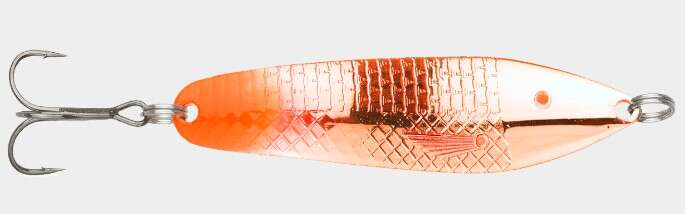 Søvik sluken ørret/sjøørret