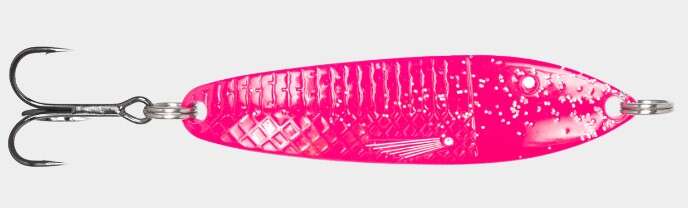 Søvik sluken Salmon