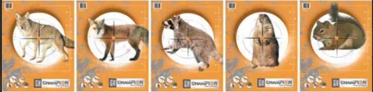 Champion skiver diverse dyr