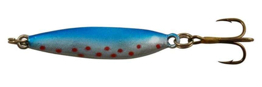 Sølvkroken Rogerdraget