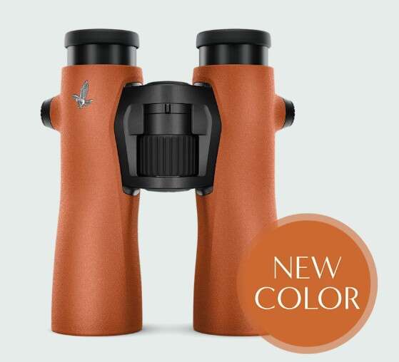 Swarovski NL Pure 8x42