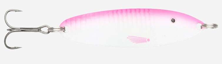 Søvik sluken ørret/sjøørret