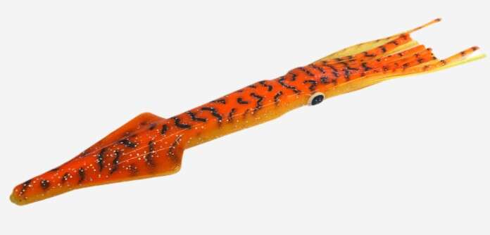Pulsator Squid 38cm