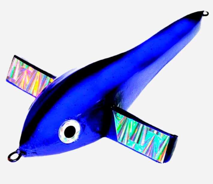 Pulsator Frigate Bird