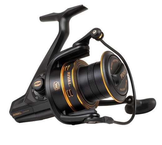 Penn Rival Longcast Gold 8000LC FD